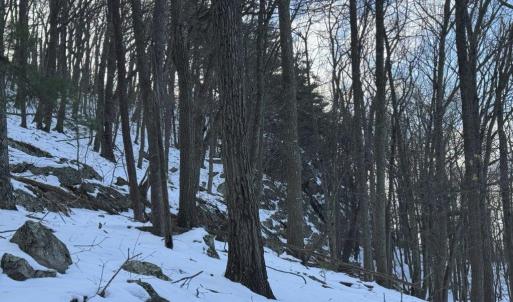 Photo #36 of CHURCH MOUNTAIN LN, FULKS RUN, VA 289.0 acres