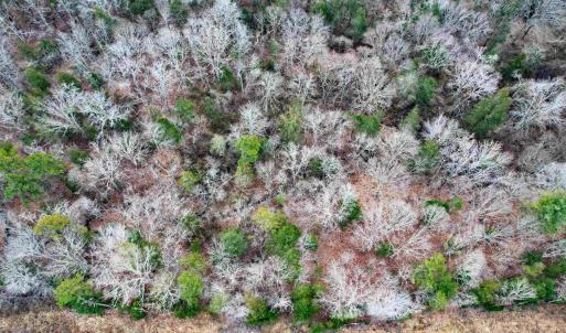 Photo #8 of TBD GLADE RD, SCHUYLER, VA 7.5 acres