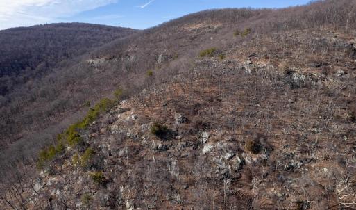 Photo #22 of SADDLE HOLLOW RD, CROZET, VA 287.1 acres