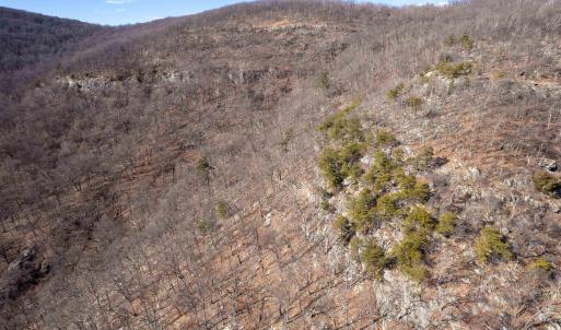 Photo #18 of SADDLE HOLLOW RD, CROZET, VA 287.1 acres