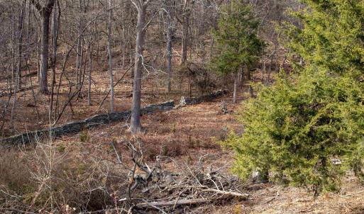 Photo #36 of SADDLE HOLLOW RD, CROZET, VA 287.1 acres