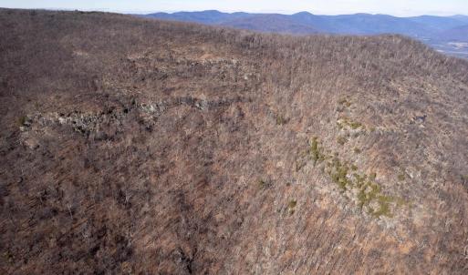 Photo #17 of SADDLE HOLLOW RD, CROZET, VA 287.1 acres