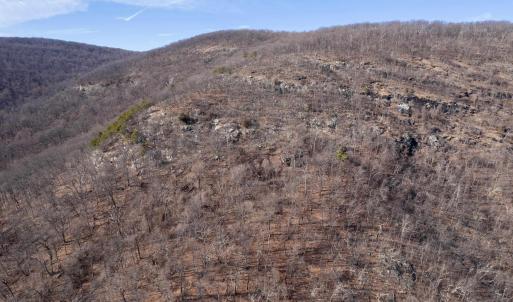 Photo #26 of SADDLE HOLLOW RD, CROZET, VA 287.1 acres