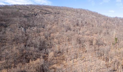 Photo #34 of SADDLE HOLLOW RD, CROZET, VA 287.1 acres