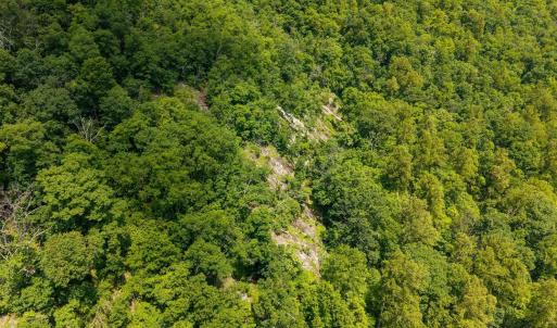 Photo #5 of SADDLE HOLLOW RD, CROZET, VA 287.1 acres