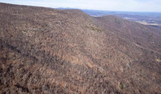 Photo #29 of SADDLE HOLLOW RD, CROZET, VA 287.1 acres