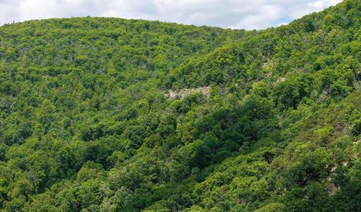 Photo #4 of SADDLE HOLLOW RD, CROZET, VA 287.1 acres