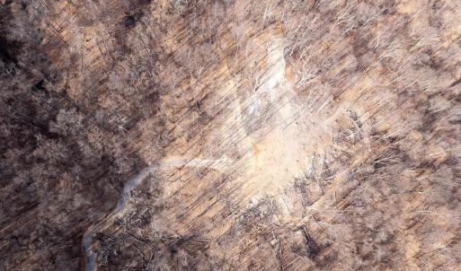 Photo #30 of SADDLE HOLLOW RD, CROZET, VA 287.1 acres