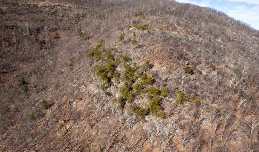 Photo #44 of SADDLE HOLLOW RD, CROZET, VA 287.1 acres