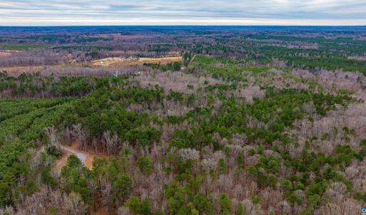 Photo #15 of Lot 1 PINEY GREEN RD, CREWE, VA 13.5 acres