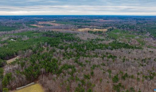 Photo #19 of Lot 1 PINEY GREEN RD, CREWE, VA 13.5 acres