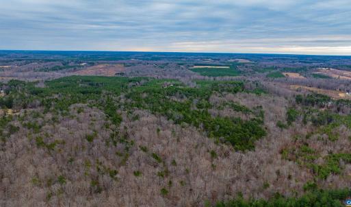 Photo #21 of Lot 1 PINEY GREEN RD, CREWE, VA 13.5 acres
