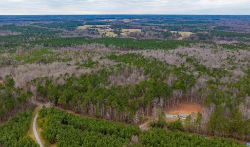 Photo #16 of Lot 1 PINEY GREEN RD, CREWE, VA 13.5 acres