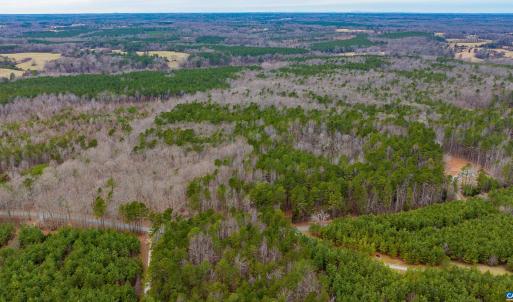 Photo #11 of Lot 2 PINEY GREEN RD, CREWE, VA 12.8 acres