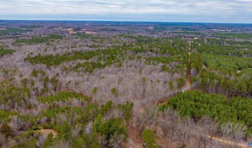 Photo #6 of Lot 2 PINEY GREEN RD, CREWE, VA 12.8 acres