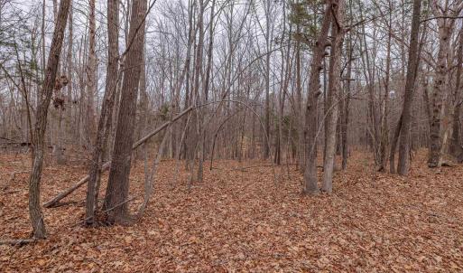 Photo #26 of Lot 2 PINEY GREEN RD, CREWE, VA 12.8 acres