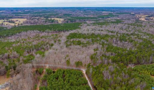 Photo #12 of Lot 3 PINEY GREEN RD, CREWE, VA 9.1 acres