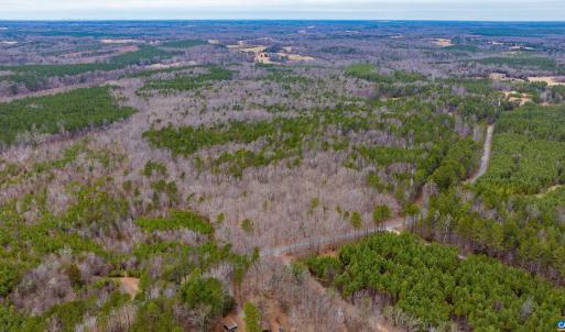 Photo #3 of Lot 3 PINEY GREEN RD, CREWE, VA 9.1 acres