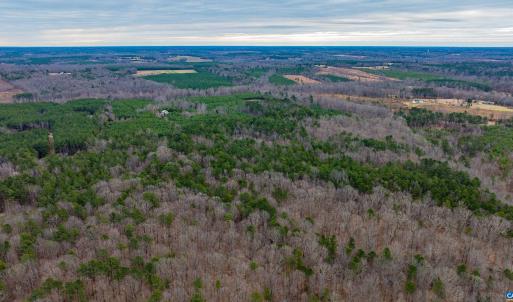 Photo #20 of Lot 3 PINEY GREEN RD, CREWE, VA 9.1 acres