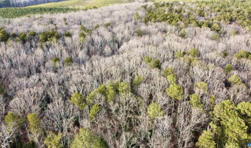 Photo #14 of 20602 BEAVERDAM RD, BEAVERDAM, VA 87.5 acres