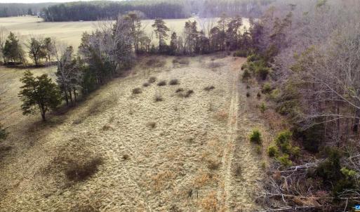 Photo #16 of 20602 BEAVERDAM RD, BEAVERDAM, VA 87.5 acres