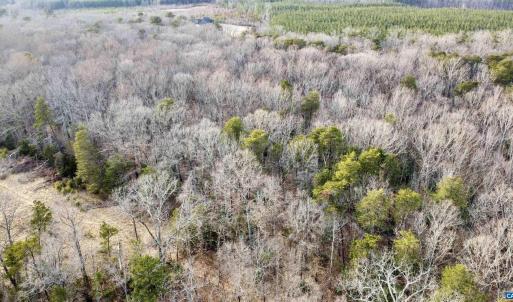 Photo #14 of 20602 BEAVERDAM RD, BEAVERDAM, VA 87.5 acres