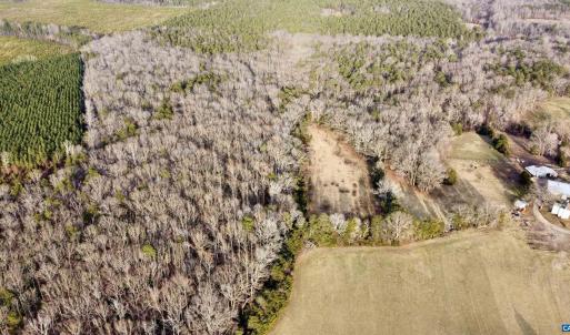 Photo #12 of 20602 BEAVERDAM RD, BEAVERDAM, VA 87.5 acres