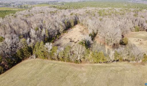 Photo #6 of 20602 BEAVERDAM RD, BEAVERDAM, VA 87.5 acres