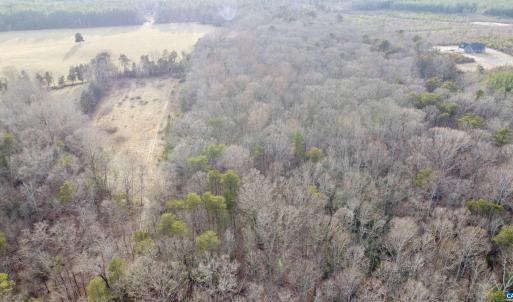 Photo #4 of 20602 BEAVERDAM RD, BEAVERDAM, VA 87.5 acres