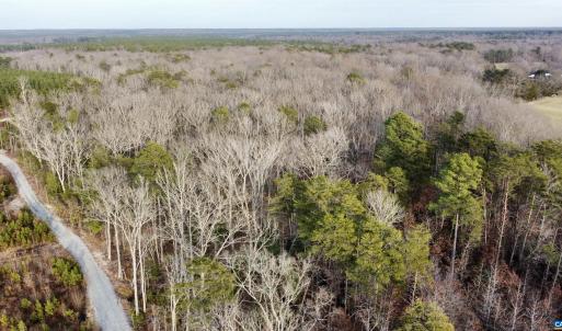 Photo #19 of 20602 BEAVERDAM RD, BEAVERDAM, VA 87.5 acres