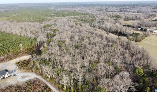 Photo #19 of 20602 BEAVERDAM RD, BEAVERDAM, VA 87.5 acres