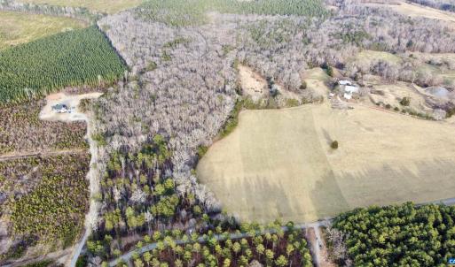 Photo #13 of 20602 BEAVERDAM RD, BEAVERDAM, VA 87.5 acres