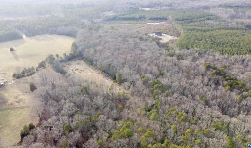 Photo #3 of 20602 BEAVERDAM RD, BEAVERDAM, VA 87.5 acres
