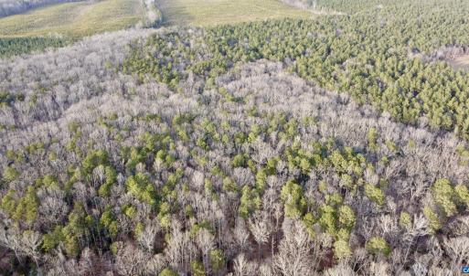 Photo #11 of 20602 BEAVERDAM RD, BEAVERDAM, VA 87.5 acres