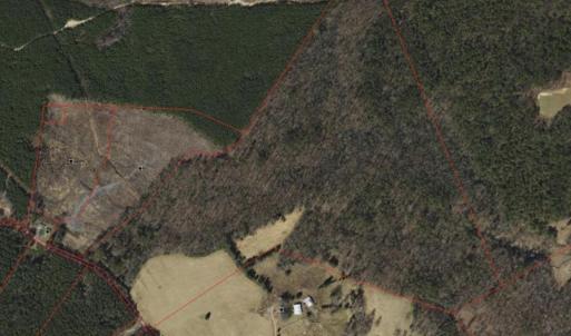Photo #23 of 20602 BEAVERDAM RD, BEAVERDAM, VA 87.5 acres