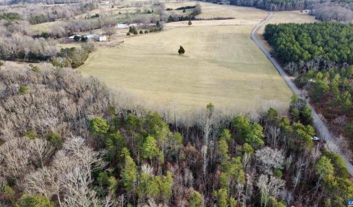 Photo #18 of 20602 BEAVERDAM RD, BEAVERDAM, VA 87.5 acres
