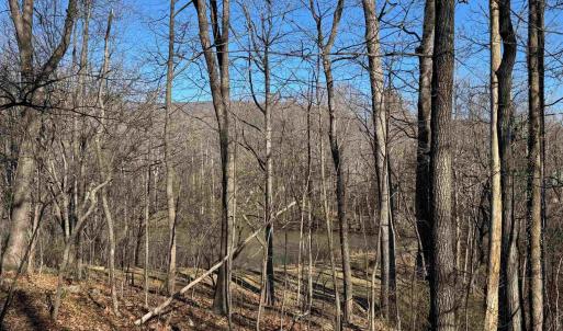 Photo #4 of TBD EDMOND DR, CROZET, VA 0.6 acres