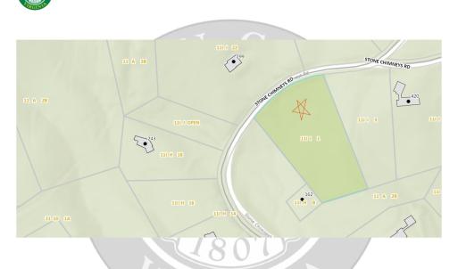 Photo #4 of STONE CHIMNEYS RD, WINTERGREEN, VA 2.2 acres