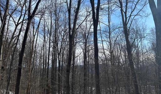Photo #2 of STONE CHIMNEYS RD, WINTERGREEN, VA 2.2 acres