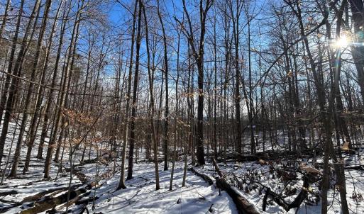 Photo #3 of STONE CHIMNEYS RD, WINTERGREEN, VA 2.2 acres