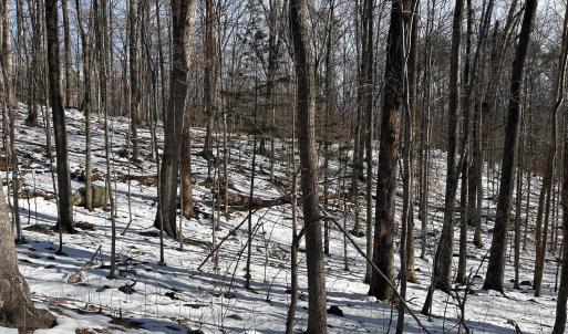 Photo #6 of STONE CHIMNEYS RD, WINTERGREEN, VA 2.2 acres