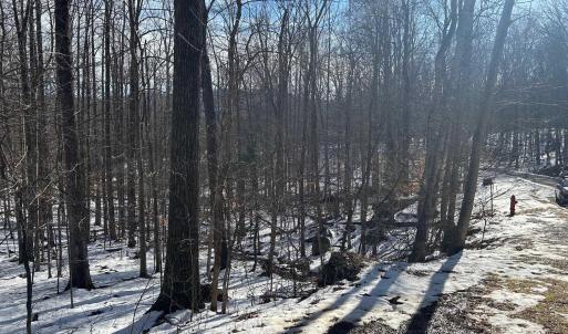 Photo #5 of STONE CHIMNEYS RD, WINTERGREEN, VA 2.2 acres