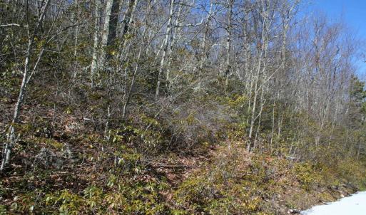 Photo #2 of TBD HIGH VALLEY NORTH, MONTEREY, VA 5.0 acres