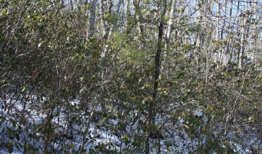 Photo #4 of TBD HIGH VALLEY NORTH, MONTEREY, VA 5.0 acres