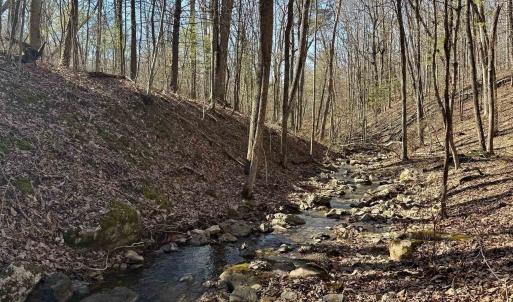 Photo #6 of Lot 10 INDEPENDENCE LN, NEW MARKET, VA 4.0 acres