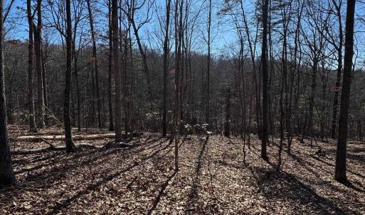 Photo #2 of Lot 10 INDEPENDENCE LN, NEW MARKET, VA 4.0 acres