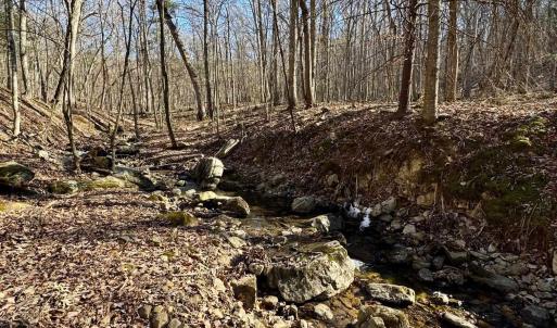 Photo #3 of Lot 10 INDEPENDENCE LN, NEW MARKET, VA 4.0 acres