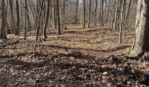 Photo #1 of Lot 10 INDEPENDENCE LN, NEW MARKET, VA 4.0 acres