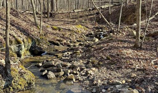 Photo #4 of Lot 10 INDEPENDENCE LN, NEW MARKET, VA 4.0 acres