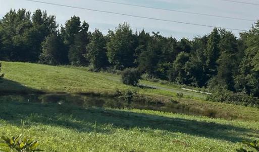 Photo #1 of HOLLAND CREEK RD, LOUISA, VA 2.0 acres